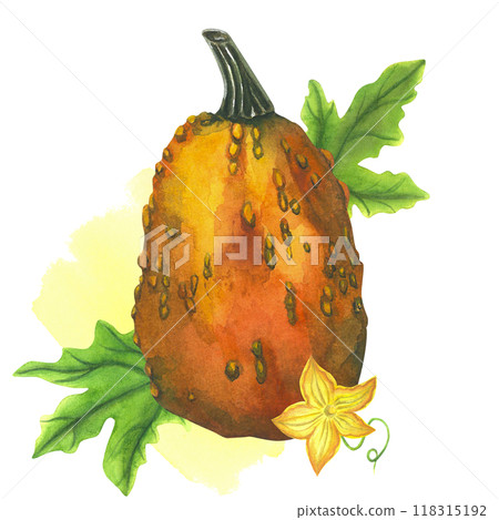 Orange pumpkin with leaves, flower and watercolor stain on a white background. Watercolor illustrations are hand-drawn. For cookware and invitations 118315192