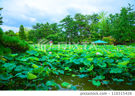 蓮花白山公園 蓮花白山公園 118315426