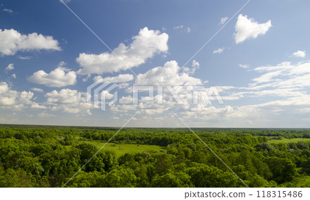 Bright summer sky with white clouds over green forest Bright summer sky with white clouds over green forest 118315486