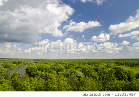 Peaceful atmosphere of white clouds, river and green forest 118315487