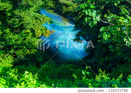 A clear stream flowing below A clear stream flowing below 118315798