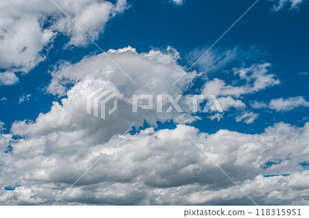 漂浮在藍天的棉花雲 漂浮在藍天的棉花雲 118315951
