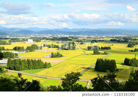 Hanamaki Eight Views: Autumn rice fields seen from Enmanji Kannonyama Hanamaki Eight Views: Autumn rice fields seen from Enmanji Kannonyama 118316100