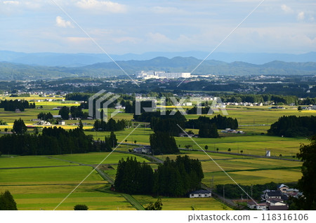 Hanamaki Eight Views: Autumn rice fields seen from Enmanji Kannonyama 118316106