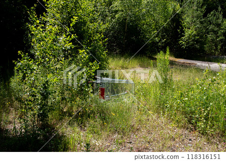 An old shopping cart is disposed of in the park or forest. An old shopping cart is disposed of in the park or forest. 118316151