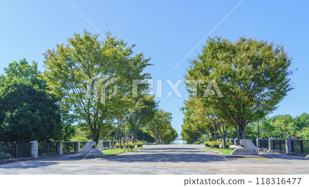 [Edogawa-ku, Tokyo] Kasai Rinkai Park, entrance (central garden path) 118316477