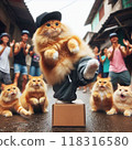 Street dancing cat 118316580