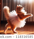 Ballet Cat 118316585
