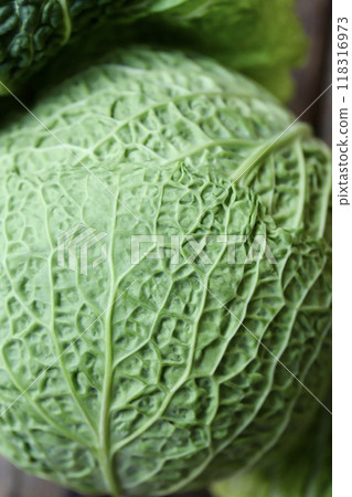 低農藥種植的高麗菜、新鮮生蔬菜 118316973