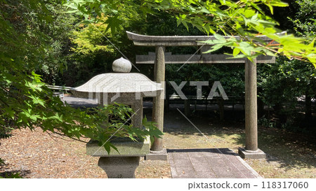 Maple leaves, torii gates and stone lanterns Maple leaves, torii gates and stone lanterns 118317060