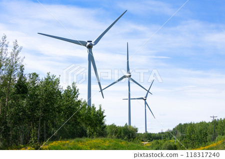 Windmills making green energy in summer in the wood among flowers. 118317240