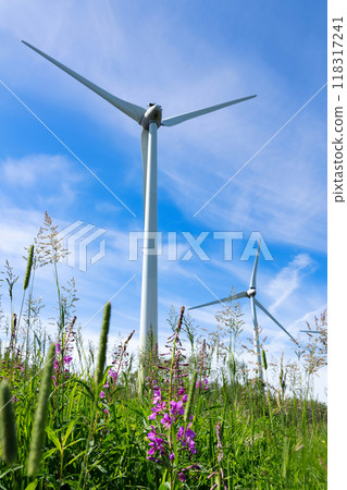 Windmills making green energy on the hill with blooming fireweed. 118317241