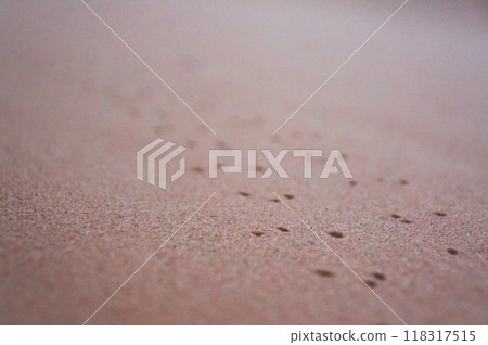 Footprints of a small animal walking in the desert 118317515