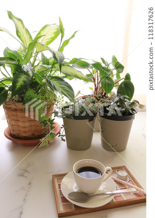 Houseplants and coffee Houseplants and coffee 118317626