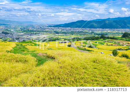 秋天的信州:小畠梯田和築曲市 秋天的信州:小畠梯田和築曲市 118317713