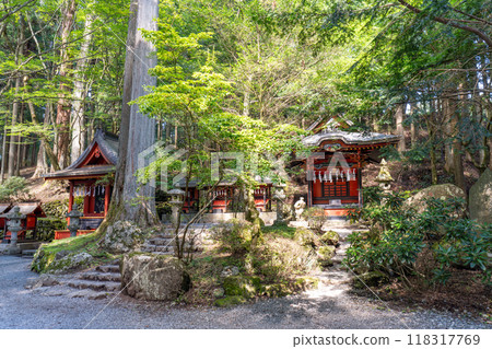埼玉縣秩父市三峰神社本宮周圍的風景 埼玉縣秩父市三峰神社本宮周圍的風景 118317769
