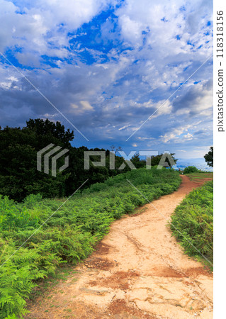 Early autumn evening scene at Mount Wakakusa in Nara: Sheep clouds spreading over the Uguisuzuka Tomb ➂ Early autumn evening scene at Mount Wakakusa in Nara: Sheep clouds spreading over the Uguisuzuka Tomb ➂ 118318156