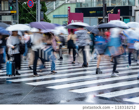 雨天，人們撐著雨傘過行人穿越道 118318252