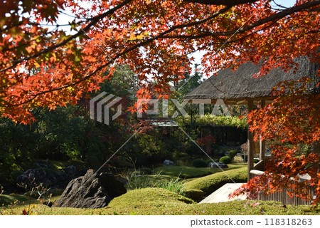 秋季 太藏院 橫光園 118318263