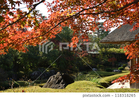 秋季 太藏院 橫光園 118318265