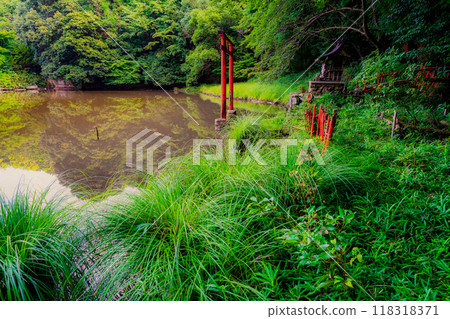 Photographing the power spot of the Eight Great Dragon Kings, Benzaiten, Ogami, and Okami Shrine in Miwa, Sakurai City, Nara Prefecture 118318371