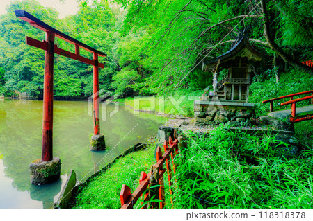 Photographing the power spot of the Eight Great Dragon Kings, Benzaiten, Ogami, and Okami Shrine in Miwa, Sakurai City, Nara Prefecture 118318378