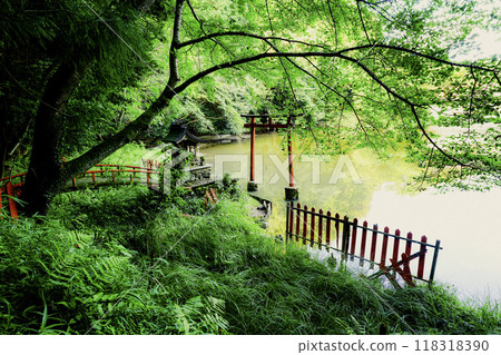 位於奈良縣櫻井市三輪的能量景點八龍王、弁財天、大神、黑神神社的照片。 位於奈良縣櫻井市三輪的能量景點八龍王、弁財天、大神、黑神神社的照片。 118318390