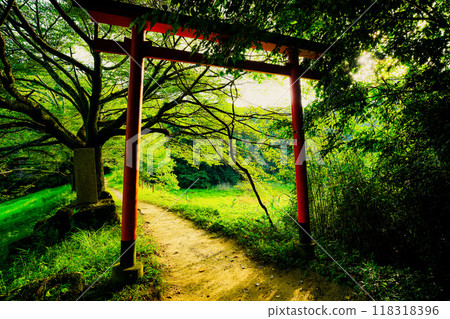 Photographing the power spot of the Eight Great Dragon Kings, Benzaiten, Ogami, and Okami Shrine in Miwa, Sakurai City, Nara Prefecture 118318396