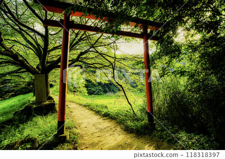 Photographing the power spot of the Eight Great Dragon Kings, Benzaiten, Ogami, and Okami Shrine in Miwa, Sakurai City, Nara Prefecture 118318397