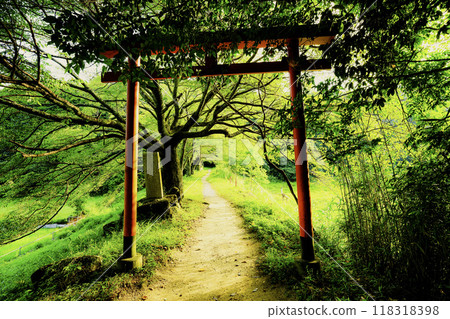 位於奈良縣櫻井市三輪的能量景點八龍王、弁財天、大神、黑神神社的照片。 118318398