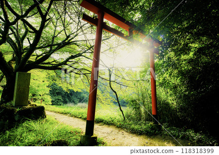 位於奈良縣櫻井市三輪的能量景點八龍王、弁財天、大神、黑神神社的照片。 位於奈良縣櫻井市三輪的能量景點八龍王、弁財天、大神、黑神神社的照片。 118318399