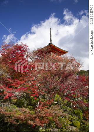 Autumn is in full swing in Shimizu Autumn is in full swing in Shimizu 118318763