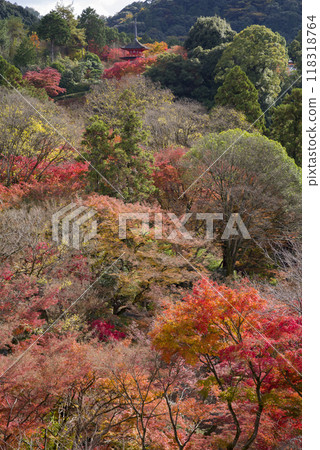 Ancient Autumn Scenery Ancient Autumn Scenery 118318764