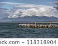 Puerto Natales Braun and Blanchard pier and White-breasted Cormorants 118318904