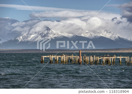 Puerto Natales Braun and Blanchard pier and White-breasted Cormorants Puerto Natales Braun and Blanchard pier and White-breasted Cormorants 118318904