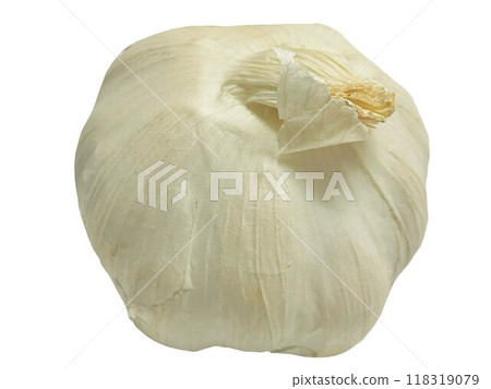 Garlic stock photo 118319079