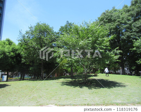 日暮里南公園 118319176