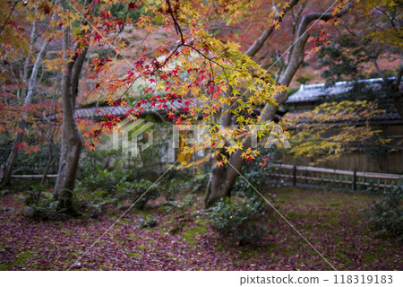The remaining autumn leaves The remaining autumn leaves 118319183