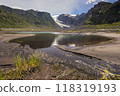 Michinmahuida glacier and its reflection in a pond 118319193