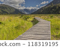 Hiking path to the Michinmahuida glacier in the Pumalin Park in Chile 118319195