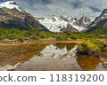 Cerro Torre reflecting in a pond 118319200