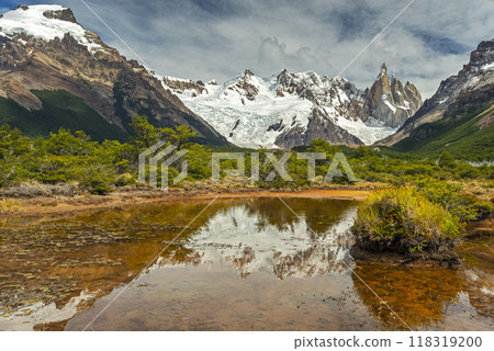Cerro Torre reflecting in a pond 118319200