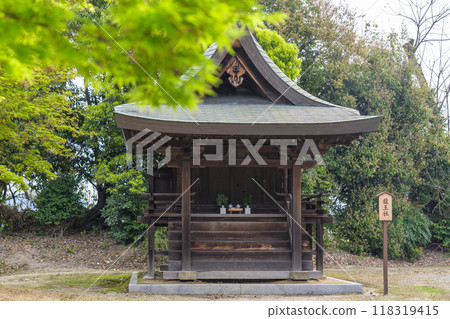 Yakushiji Temple: Green leaves and Ryuosha Shrine 118319415