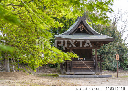 Yakushiji Temple: Green leaves and Ryuosha Shrine 118319416