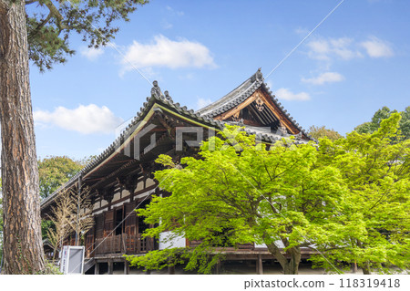 Yakushiji寺廟大廳 Yakushiji寺廟大廳 118319418