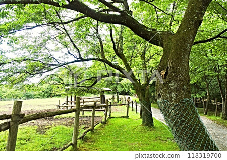 Nankigaoka牧場 118319700