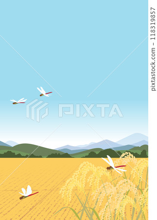 Illustration of autumn rice fields and red dragonflies 118319857