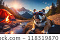 Bulldog waiting for his owner by the tent 118319870