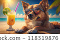 Party dog relaxing on the beach 118319876