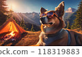 Sunglasses dog enjoying the sunset at a solo camp in autumn 118319883